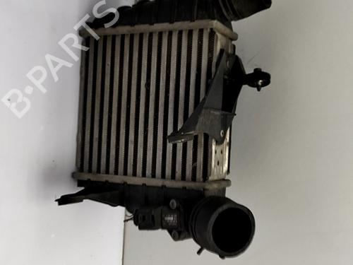 Intercooler VW POLO IV (9N_, 9A_) 1.4 TDI (75 hp) 32204604