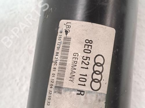 Andere AUDI A4 B7 (8EC) 3.0 TDI quattro | BP29697508O1