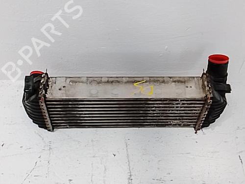 Intercooler RENAULT KANGOO BE BOP (KW0/1_) 1.5 dCi 75 | BP36002253M30 - Image 3