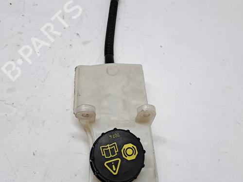 Used Power steering reservoir FORD TRANSIT CONNECT V408 Box Body/MPV 1.6 TDCi (95 hp) 25999103