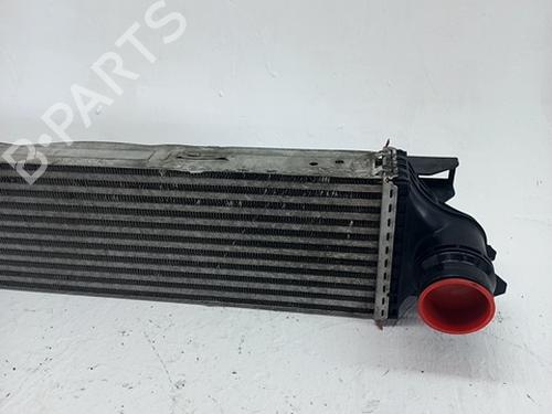 Intercooler RENAULT TRAFIC III Van (FG_) 1.6 dCi 120 (FGMK) | BP29228732M30 