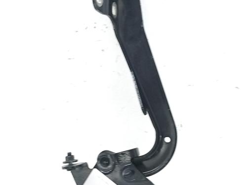 Used Hinge/Door check strap Hinge/Door check strap RENAULT MEGANE III Coupe (DZ0/1_) 1.6 16V (DZ0U, DZ1B, DZ1H) (110 hp) 36257753 36257753