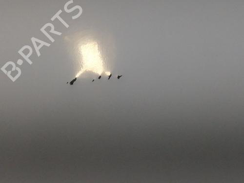 Left slide door NISSAN NV200 Van 1.5 dCi 90 (M20, M20N, M20M) | BP23893136C74 
