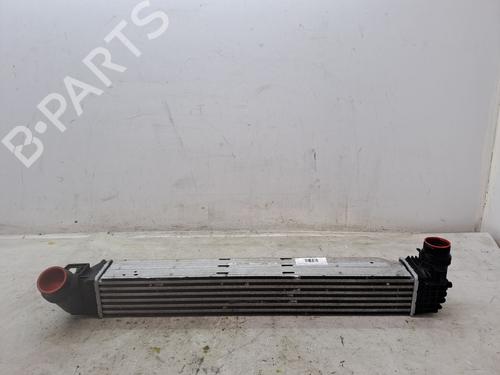 Used Intercooler RENAULT GRAND SCÉNIC III (JZ0/1_) 1.5 dCi (JZ0B, JZ07) (106 hp) 23366275