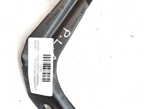 Used Hinge/Door check strap PEUGEOT EXPERT Van (V_) 1.6 BlueHDi 95 (95 hp) 29025094