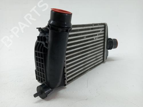 Intercooler NISSAN MICRA V (K14) 0.9 IG-T | BP23977179M30 