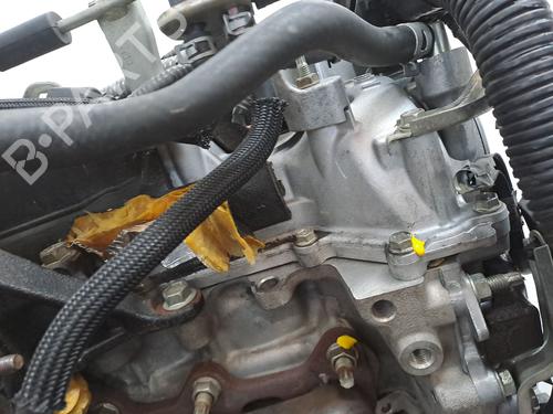 Engine TOYOTA URBAN CRUISER (_P1_) 1.4 D-4D (NLP110_, NLP110R) | BP29990547M1 