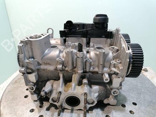 Used Cylinder head VW POLO VI (AW1, BZ1, AE1) 1.0 TSI (95 hp) 23938169