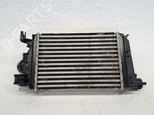 Intercooler DACIA SANDERO III 1.0 TCe 90 | BP26286169M30