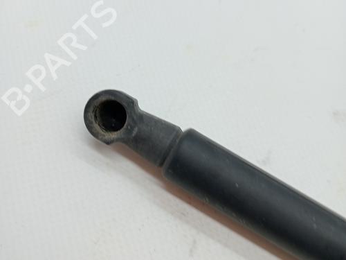 Tailgate lift support NISSAN QASHQAI / QASHQAI +2 I (J10, NJ10, JJ10E) 1.6 | BP23344747C138 