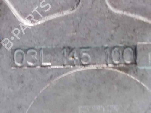 Vacuum pump SEAT EXEO ST (3R5) 2.0 TDI | BP23377554M80 