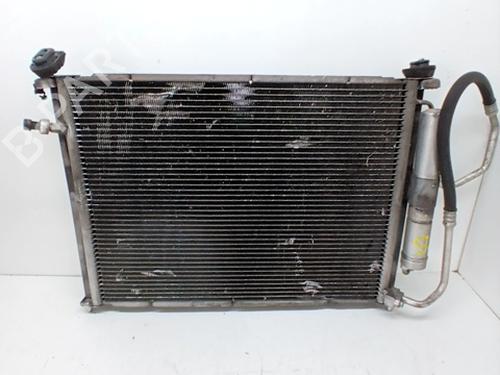 Water radiator RENAULT CLIO III (BR0/1, CR0/1) 1.2 Ethanol (CR1U, BR1U) | BP31124796M31