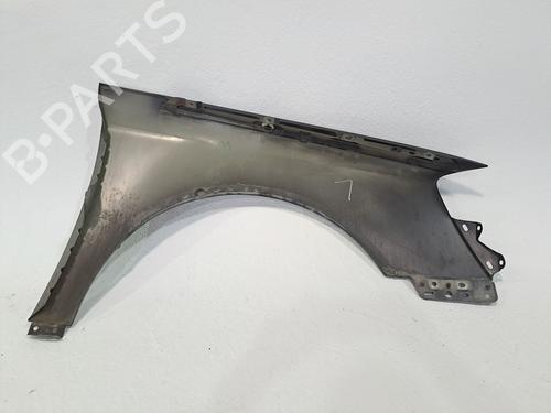 Left front fenders VW PASSAT B5.5 (3B3) 2.0 | BP23289620C41 