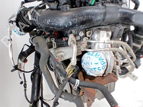 Engine FORD FOCUS IV (HN) 1.0 EcoBoost mHEV | BP29697529M1