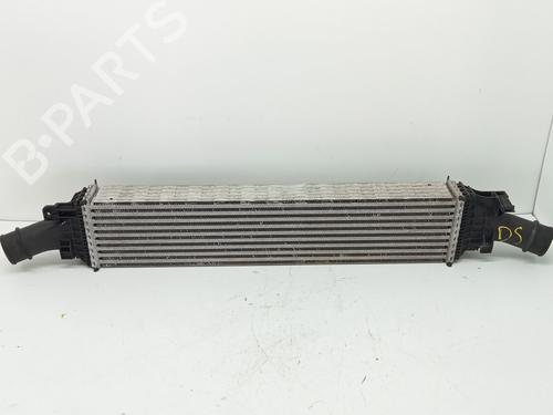 Intercooler AUDI Q5 (8RB) 2.0 TDI (150 hp) 29744921