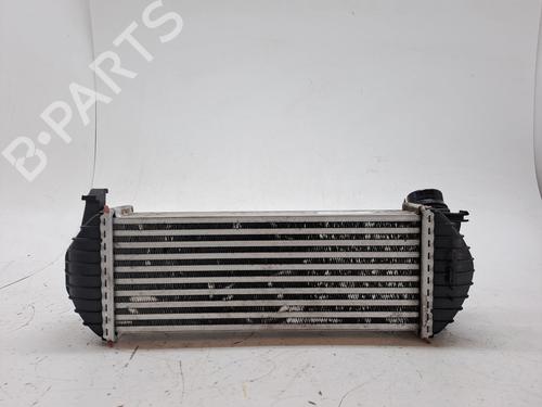 Used Intercooler RENAULT KANGOO / GRAND KANGOO II (KW0/1_) 1.5 dCi 90 (KW18) (91 hp) 27462254