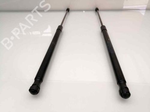 Tailgate lift support FORD FIESTA VI (CB1, CCN) 1.25 | BP23404782C138 
