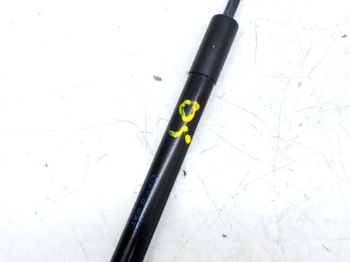 tailgate-lift-support-smart-forfour-hatchback-453-2014-32720287 main image