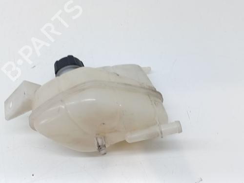 Used Expansion tank RENAULT KADJAR (HA_, HL_) 1.5 dCi 110 (HLA3) (110 hp) 28036959
