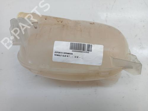 Used Expansion tank RENAULT CLIO V (B7_) 1.5 Blue dCi 85 (B7AG) (86 hp) 23342469