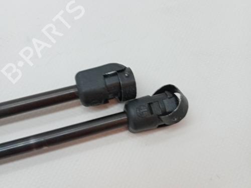 Tailgate lift support LAND ROVER RANGE ROVER SPORT I (L320) 3.0 D 4x4 | BP23353419C138 