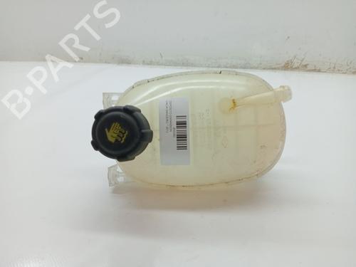 Used Expansion tank DACIA SANDERO III 1.0 TCe 90 (91 hp) 23359992