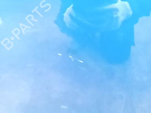 Left rear door OPEL CORSA F (P2JO) 1.2 Turbo Hybrid (68) | BP31062126C4 