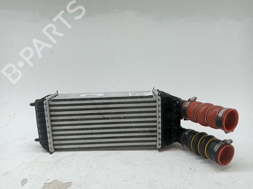 Intercooler OPEL CROSSLAND X / CROSSLAND (P17, P2QO) 1.2 (75) | BP24874684M30 