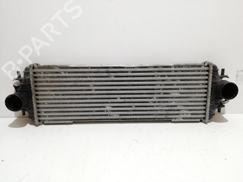 Intercooler RENAULT TRAFIC II Van (FL) 1.9 dCi 80 (FL0B) (82 hp) 25455483