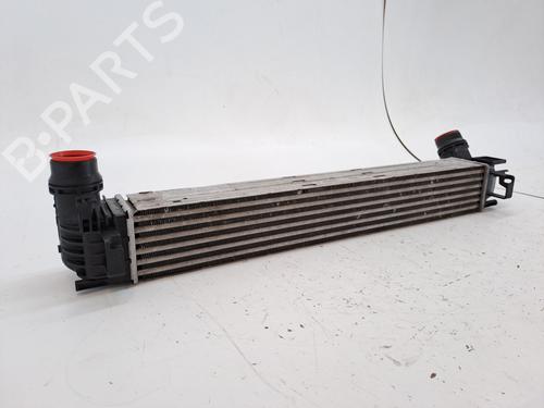 Intercooler RENAULT MEGANE II Saloon (LM0/1_) 1.5 dCi (LM0F, LM0T, LM2B) | BP28037274M30 