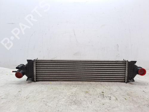 Intercooler FORD KUGA II (DM2) 1.6 EcoBoost | BP23366369M30