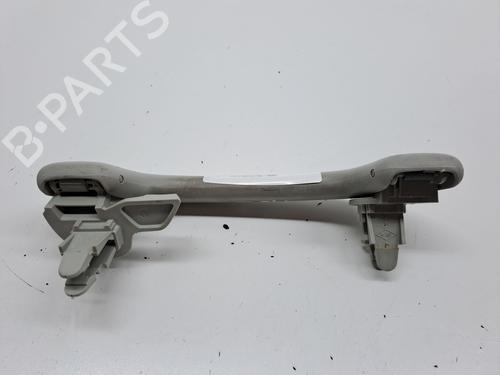 Interior roof handle NISSAN QASHQAI / QASHQAI +2 I (J10, NJ10, JJ10E) 2.0 dCi All-wheel Drive | BP23360497I35 