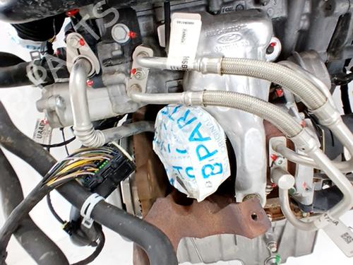 Engine FORD FOCUS IV (HN) 1.0 EcoBoost mHEV | BP29697529M1