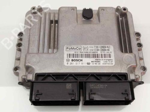 Used Engine control unit (ECU) FORD FIESTA VI (CB1, CCN) 1.25 (60 hp) 23385093