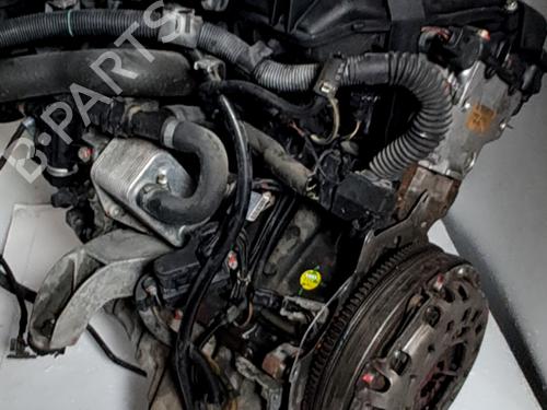 Engine BMW 3 (E46) 320 d | BP32159767M1 