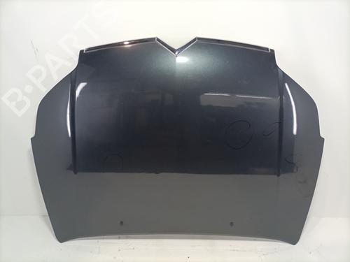 Hood CITROËN C5 II (RC_) 2.2 HDi (RC4HXE) | BP25613110C1