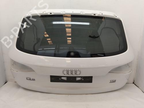 Tailgate AUDI Q5 (8RB) 2.0 TDI quattro | BP26192401C6 