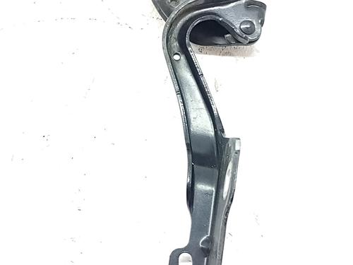 hingedoor-check-strap-renault-clio-iii-br01-cr01-2005-2006-2007-2008-2009-2010-2011-2012-2013-2014-34268038 main image