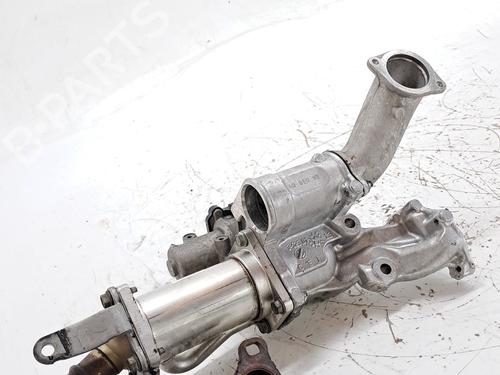 Egr RENAULT KANGOO Express (FW0/1_) 1.5 dCi 70 (FW0A, KW0V) | BP27653233M69 