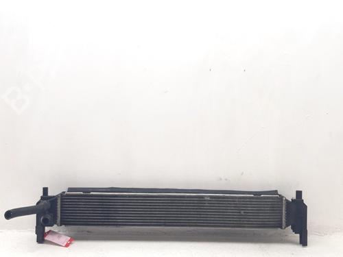 Used Intercooler Intercooler VW POLO V (6R1, 6C1) 1.2 TSI (90 hp) 34209325 34209325