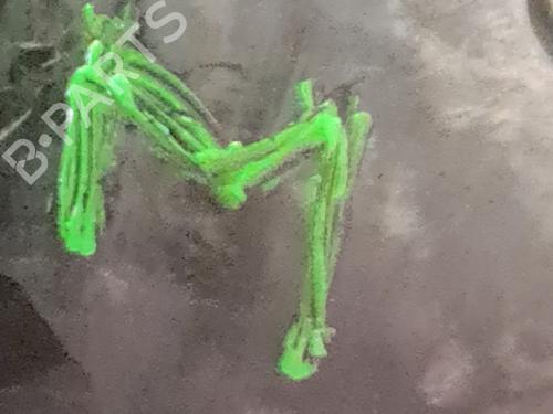 Engine JAGUAR X-TYPE I (X400) 2.2 D | BP30925839M1 