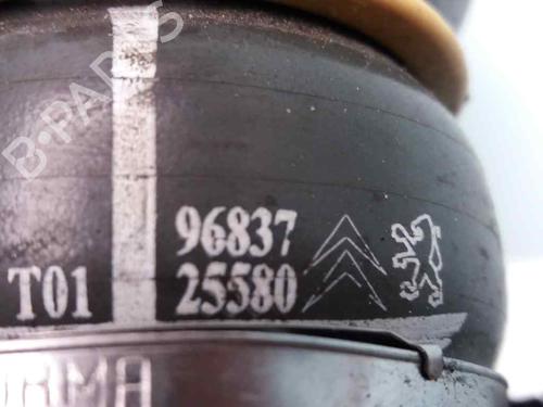 Used Pipe CITROËN JUMPY II Van 1.6 HDi 90 8V (90 hp) 23380453