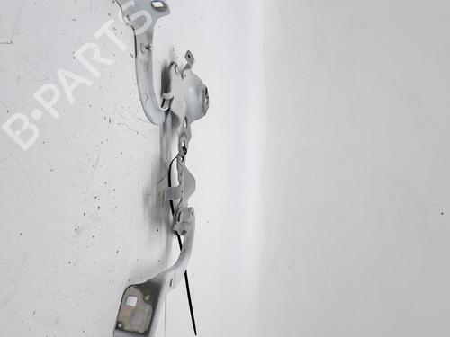 Hinge/Door check strap RENAULT ZOE (BFM_) ZOE | BP26951174C146 