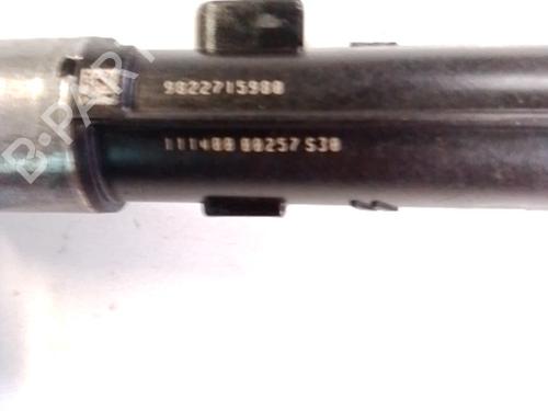 Injector PEUGEOT 2008 II (UD_, US_, UY_, UJ_, UR_, UC_) 1.2 PureTech 100 (USHNK) | BP30846259M100