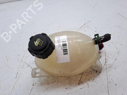 Used Expansion tank DACIA SANDERO II 1.0 SCe 75 (B8JC, B8JD, B8NC) (73 hp) 23974089
