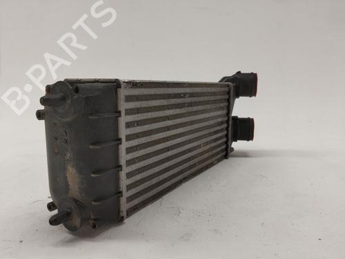 Intercooler CITROËN BERLINGO Box Body/MPV (B9) 1.6 HDi 90 | BP27700200M30 