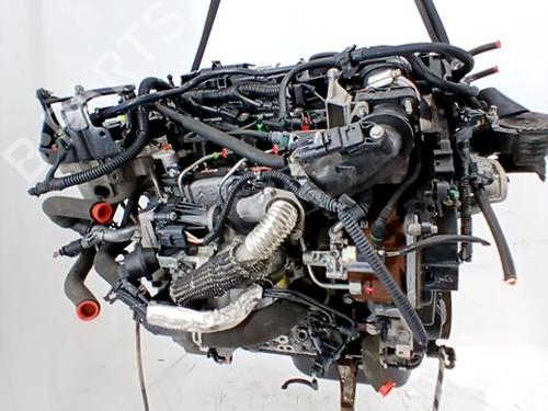 Engine FORD FOCUS III 1.6 TDCi | BP29556792M1 