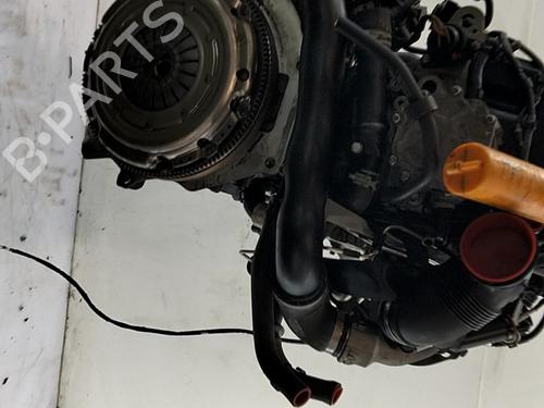 Engine SEAT IBIZA IV ST (6J8, 6P8) 1.6 TDI | BP31916130M1