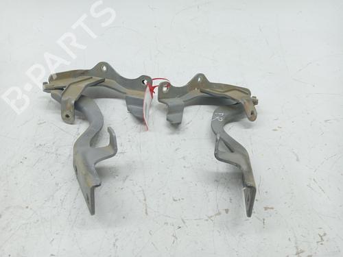 Hinge/Door check strap OPEL ANTARA A (L07) 2.0 CDTI 4x4 | BP24193388C146 