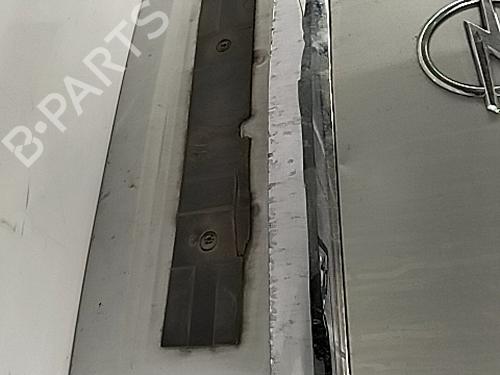 Tailgate OPEL ZAFIRA / ZAFIRA FAMILY B (A05) 1.7 CDTI (M75) | BP29500497C6 
